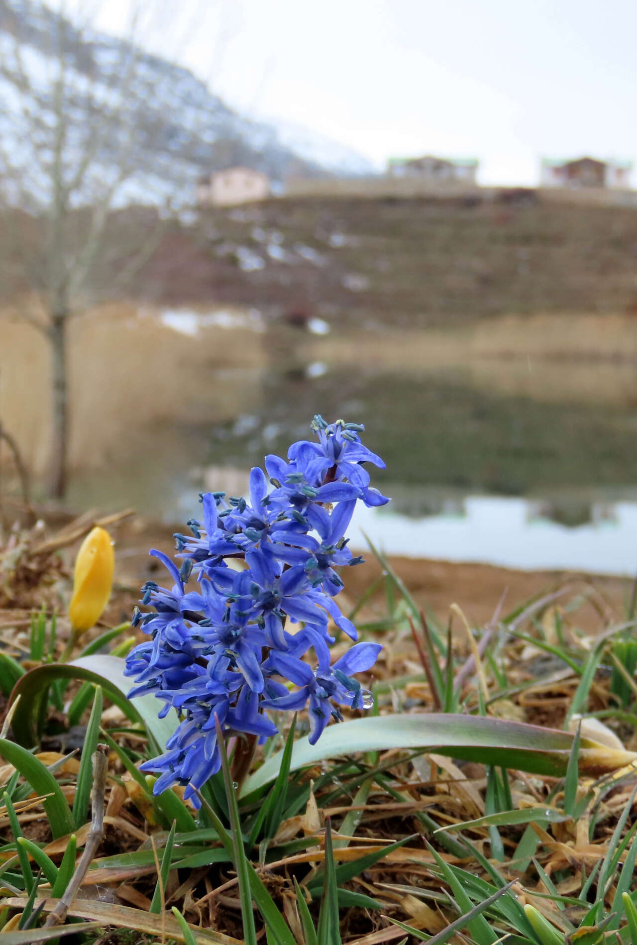 Konya’nın yükseklerinde baharın habercileri kendini gösterdi 8